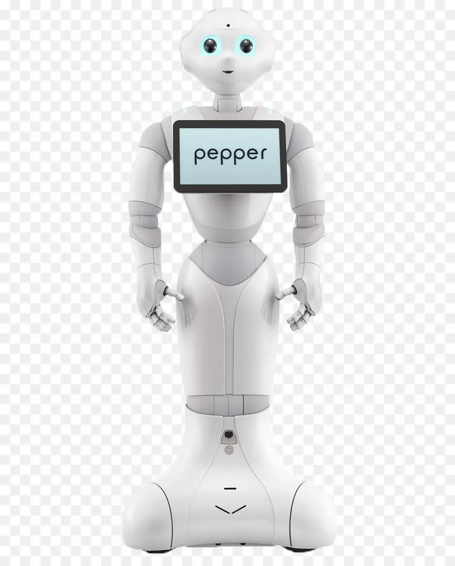 Pepper hình người robot