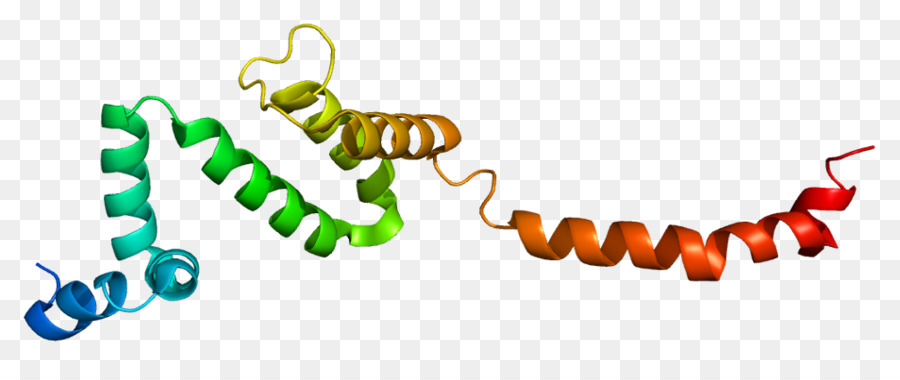 Helix protein đầy màu sắc