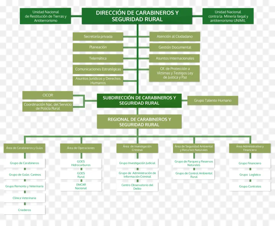 Organigramm von Carabineros y Seguridad Rural