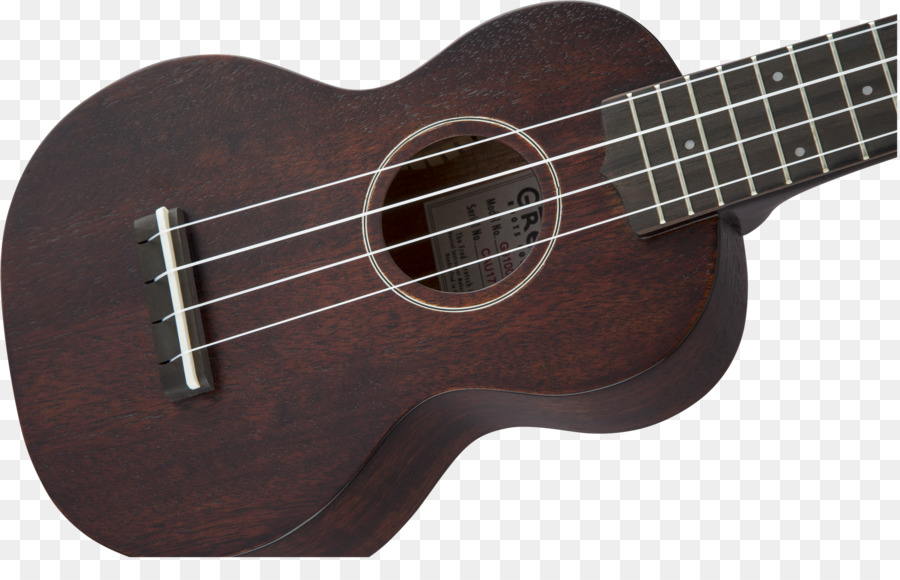 Chitarra acustica, Ukulele Acustico chitarra elettrica