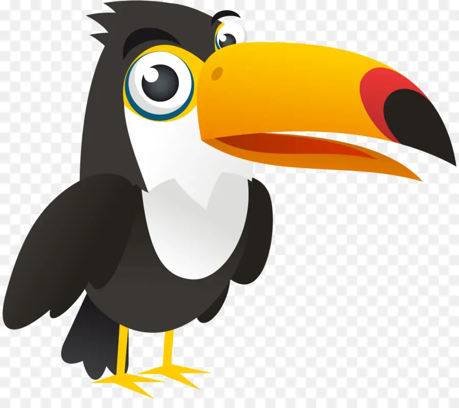 Bay Toucan