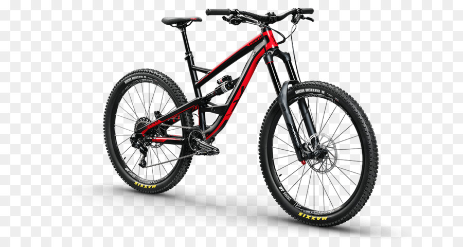 Fantastica bicicletta BMX