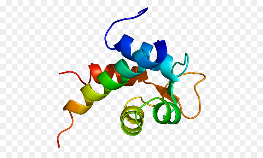 Cấu trúc protein đầy màu sắc