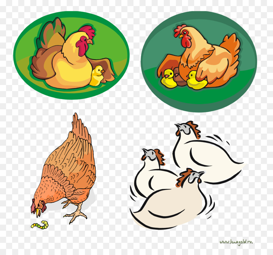 Hahn Huhn Clip-art-Illustration-Zeichnung