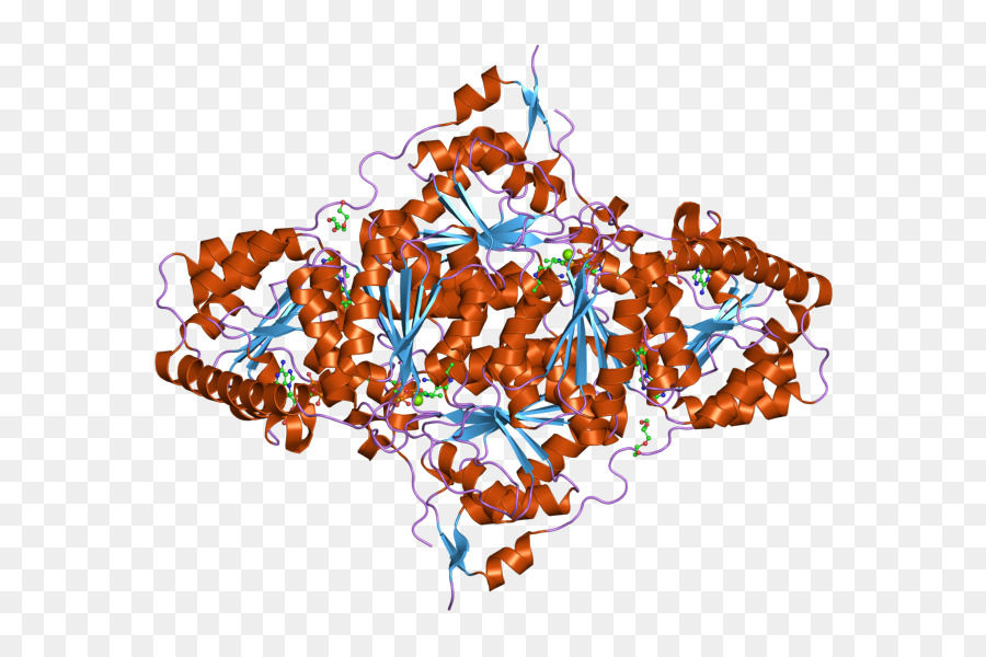 Proteinstruktur für wissenschaftliche Studien