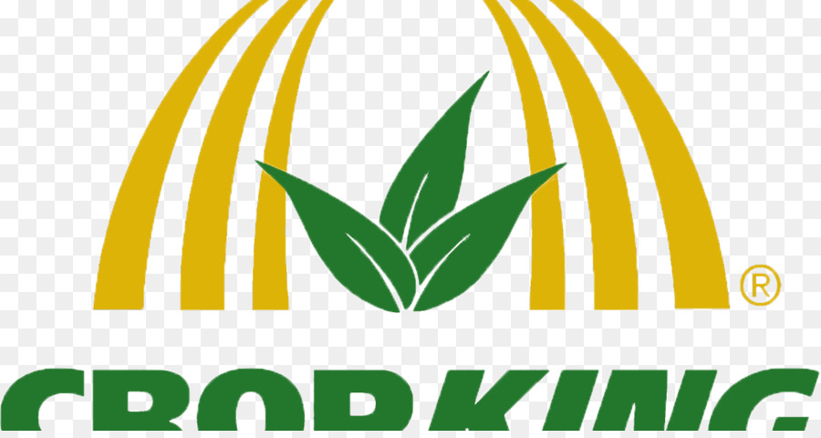 CropKing Idroponica Nutrient film technique Agricoltura