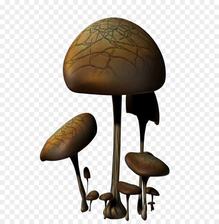 Mushroom Cartoon