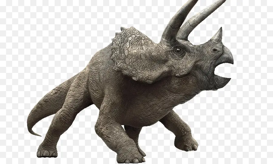 Triceratops khủng long