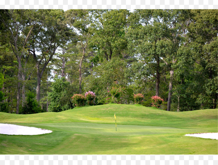 Wunderschöner Golfplatz mit Grün und Flagge