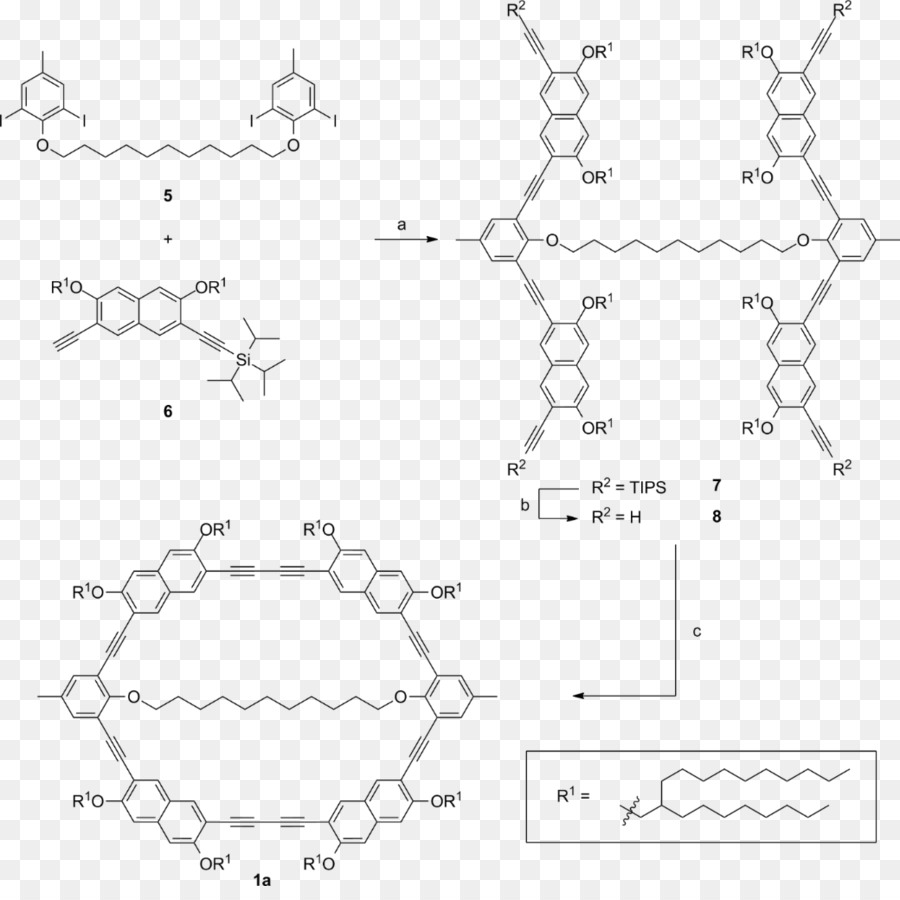 Sơ đồ phản ứng hóa học chi tiết