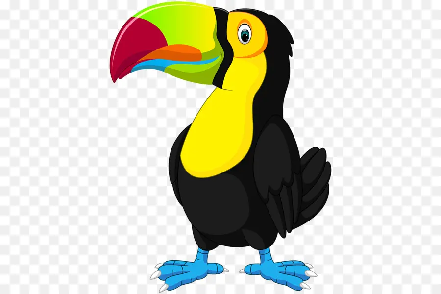 Phim hoạt hình đầy màu sắc Toucan Bird