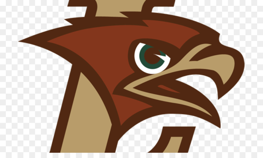 Lehigh Mountain Hawks football Lehigh Mountain Hawks men ' s basketball NCAA Division I Männer Basketball-Lehigh Mountain Hawks-Frauen-basketball-Lehigh University