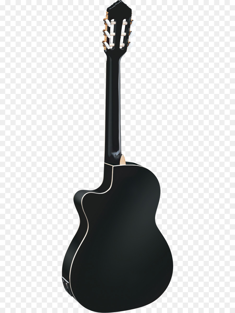 Chế độ xem trở lại của guitar acoustic đen