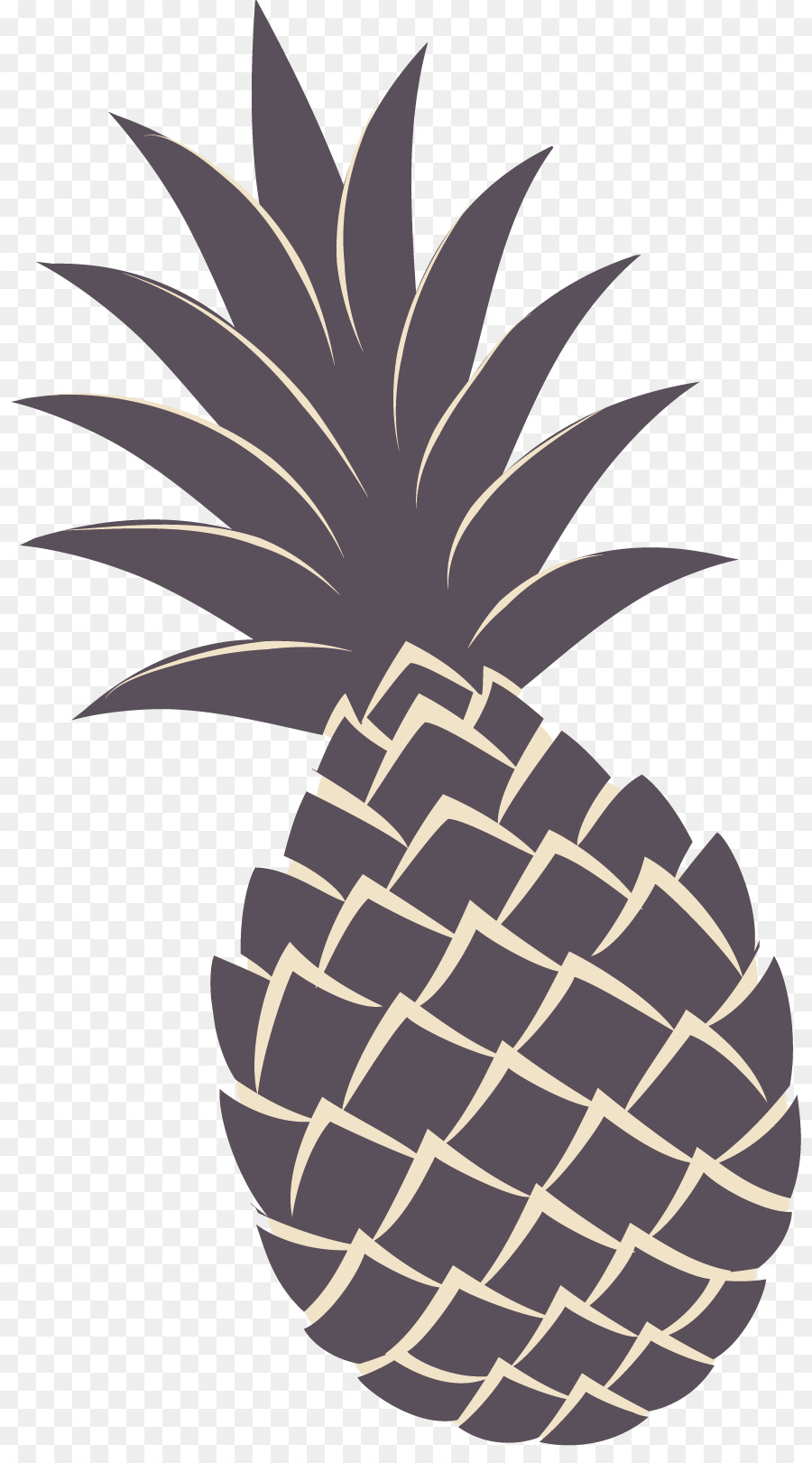 Bunte Ananas-Illustration