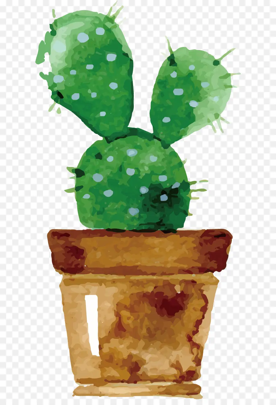 Cactus dell'acquerello in vaso