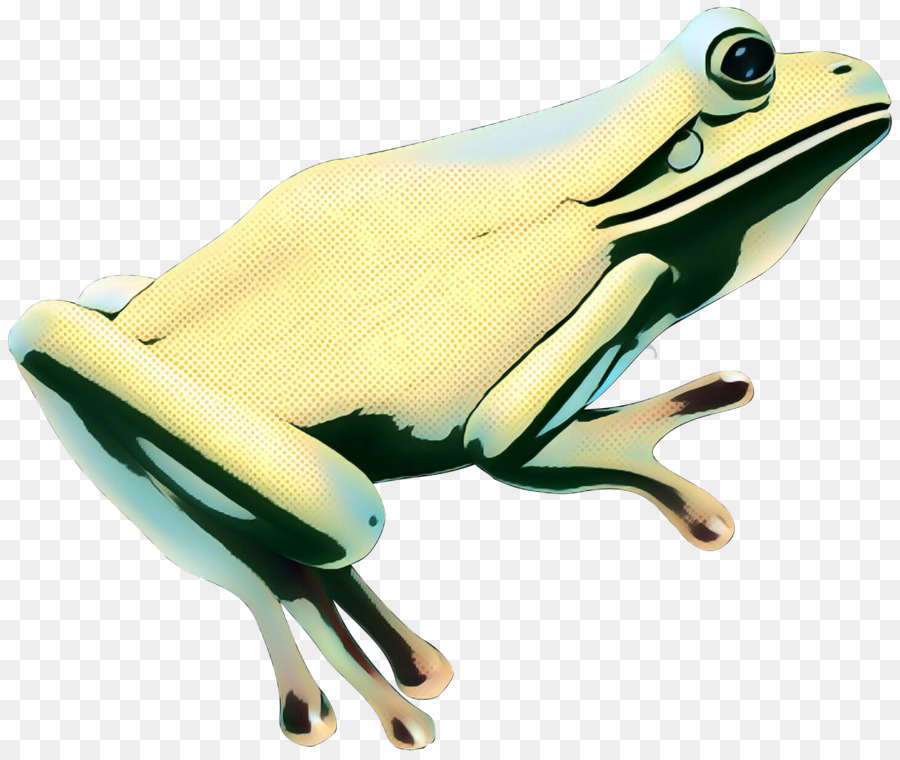 Leuchtend gelber Frosch