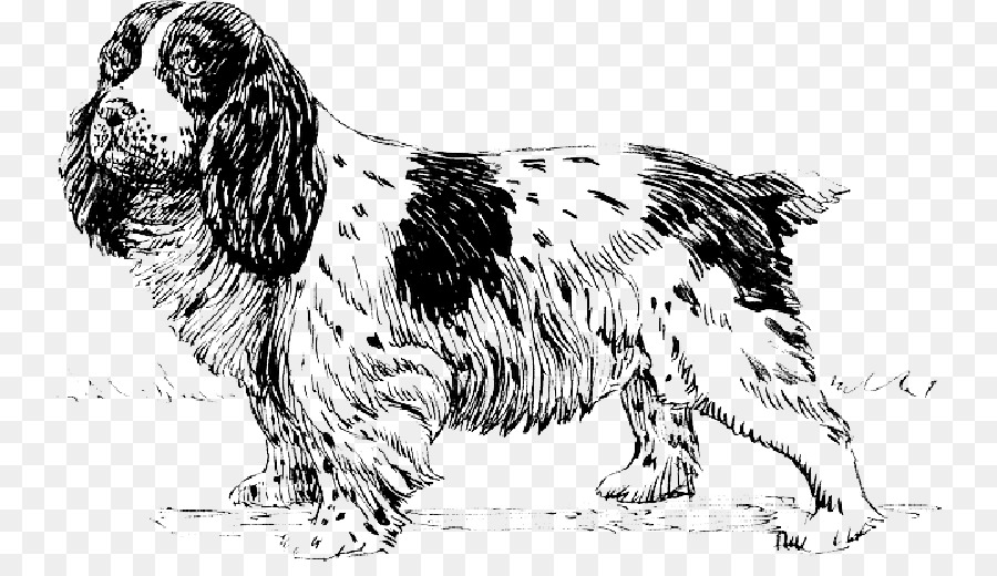 Portable Network Graphics Clip Art Vektorgrafiken Cocker Spaniel