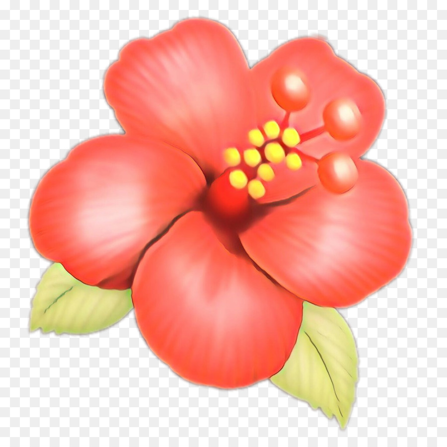 Hoa Hibiscus màu vàng sáng