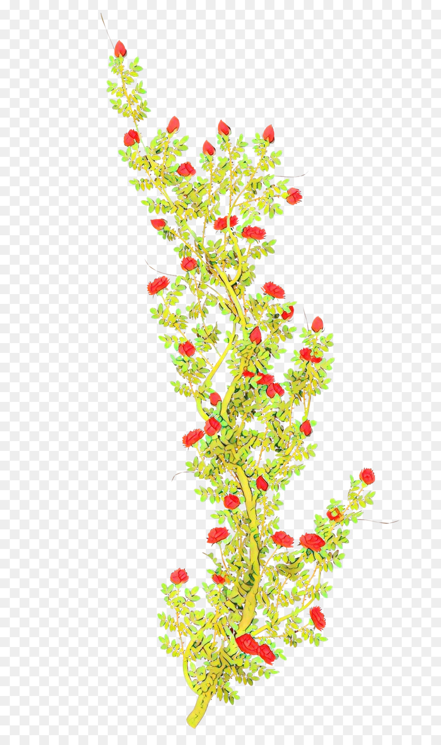 Twig Plant stem Flower Shrub Leaf