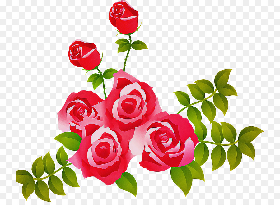 Bellissime rose rosse con gocce di rugiada