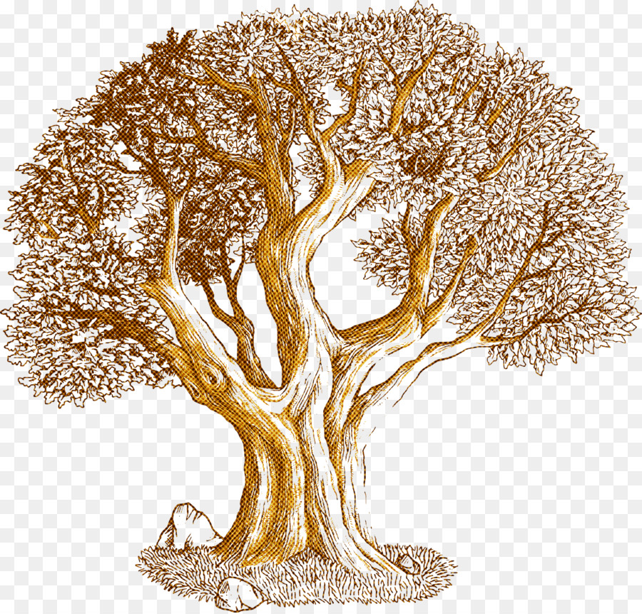 Illustrazione dettagliata dell'albero in natura