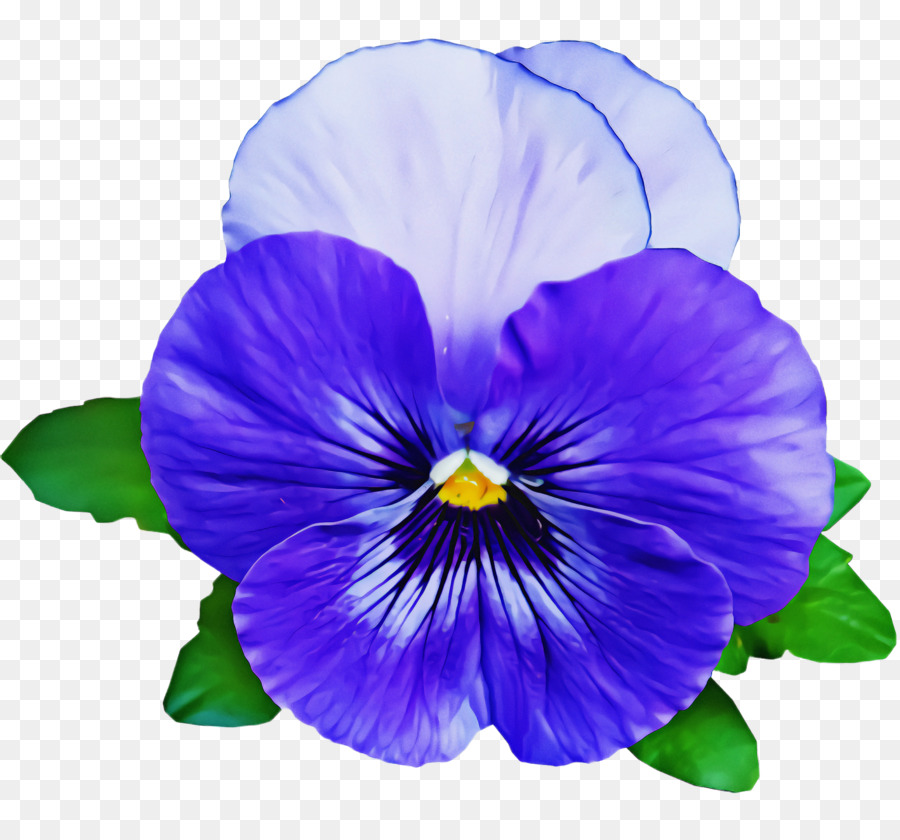 Bellissimo fiore blu con foglia verde