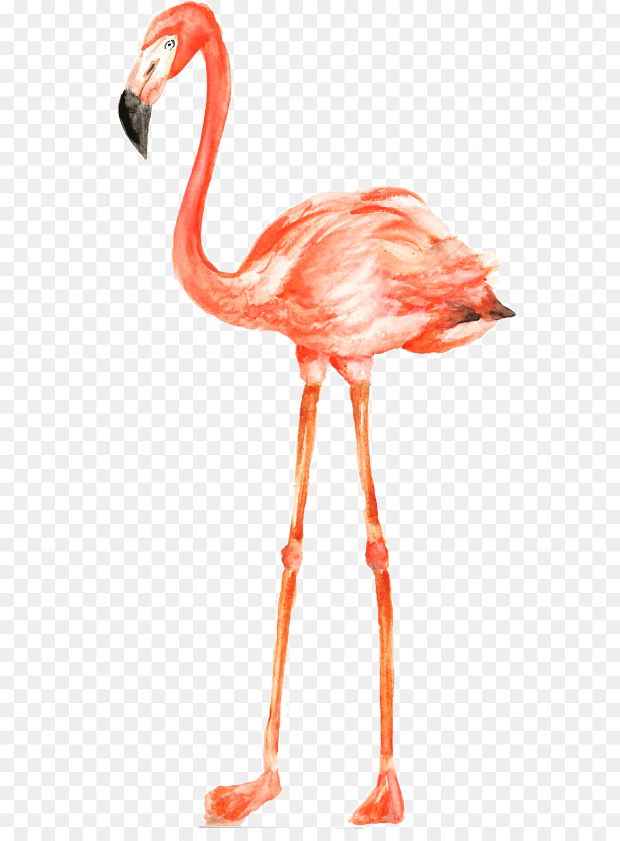 Rosa Flamingo-Illustration