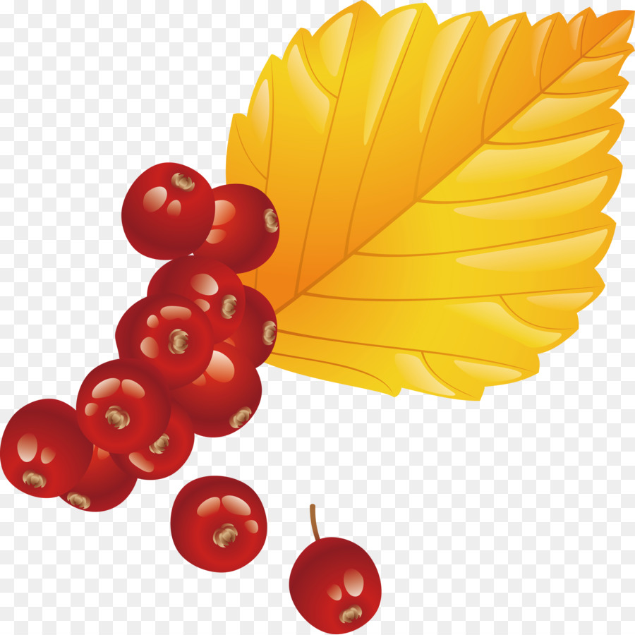 Rote Beeren auf Herbstblättern