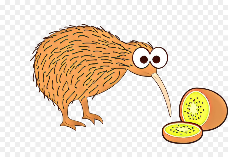 Kiwi Bird and Fruit