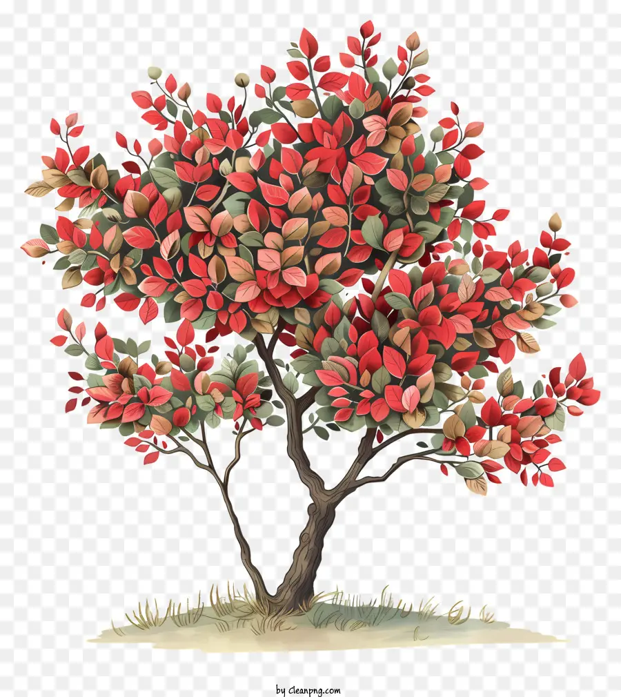 Albero con l'illustrazione delle foglie rosse e verdi