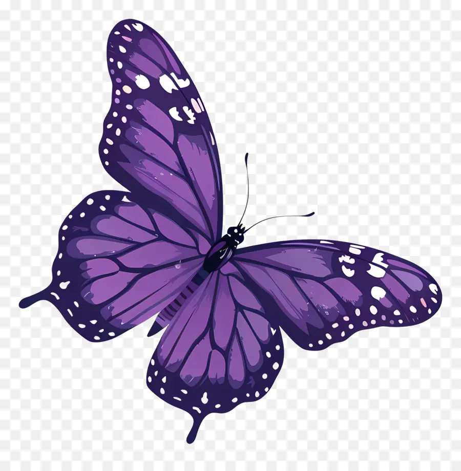 Purple Butterfly with Black and White Spots