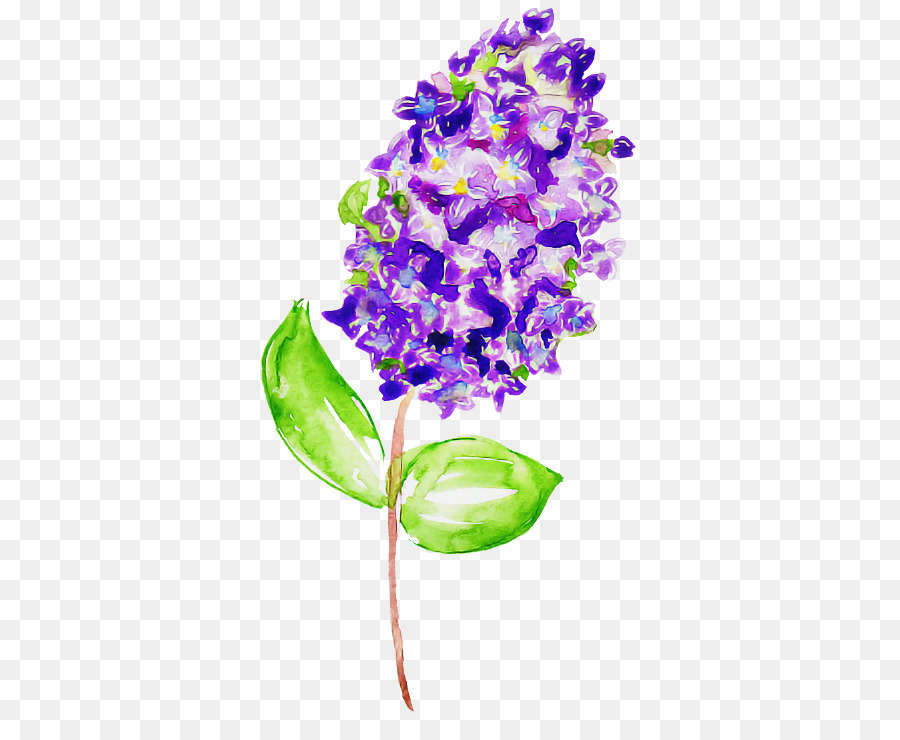 Blume lila violette Pflanze lila