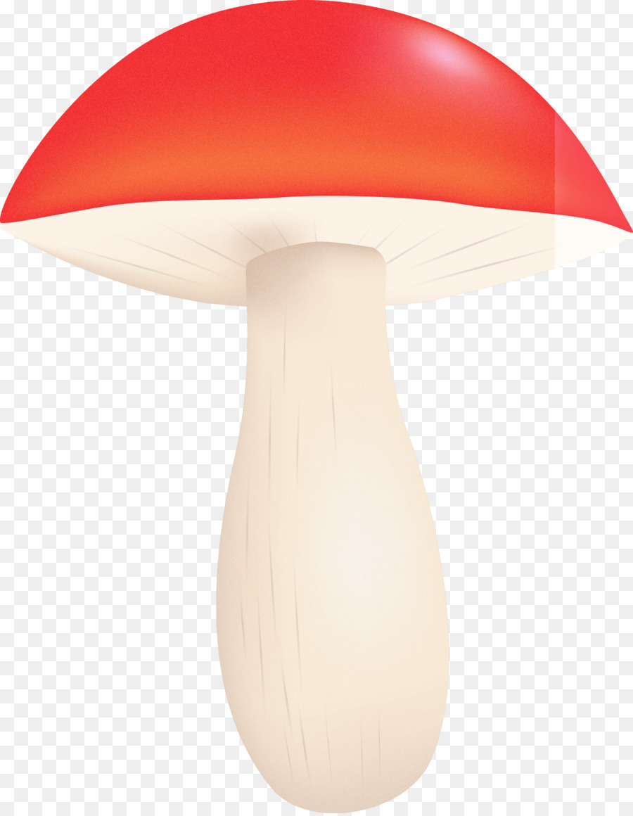 Funghi commestibili