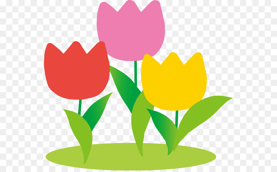 Bunte Tulpenblumen-Illustration