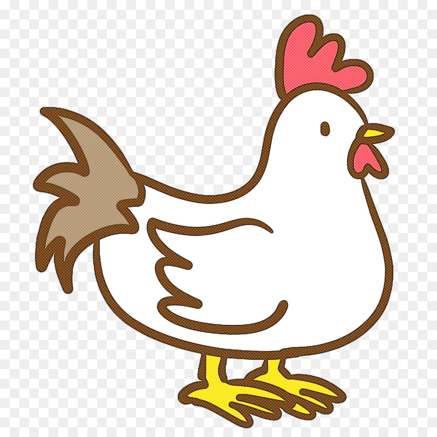 Illustrazione di pollo da fattoria