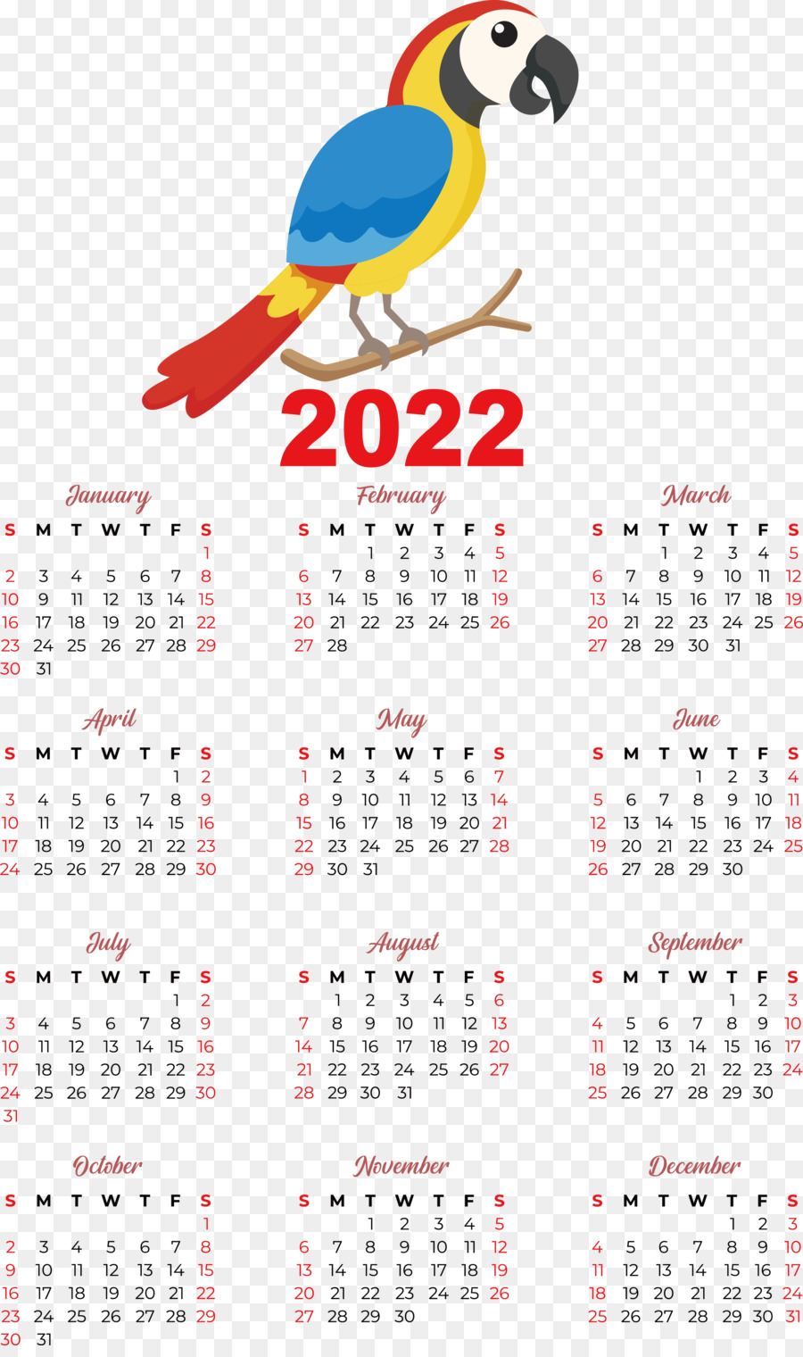 Kalender 2022 mit Nashornvogel