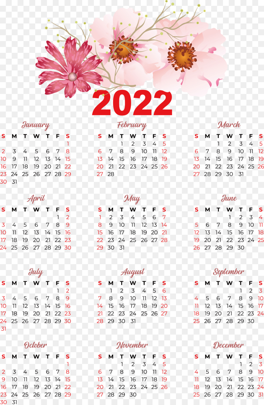 Design del calendario floreale 2024