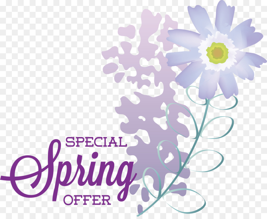 Offerta Speciale Primavera con Fiori