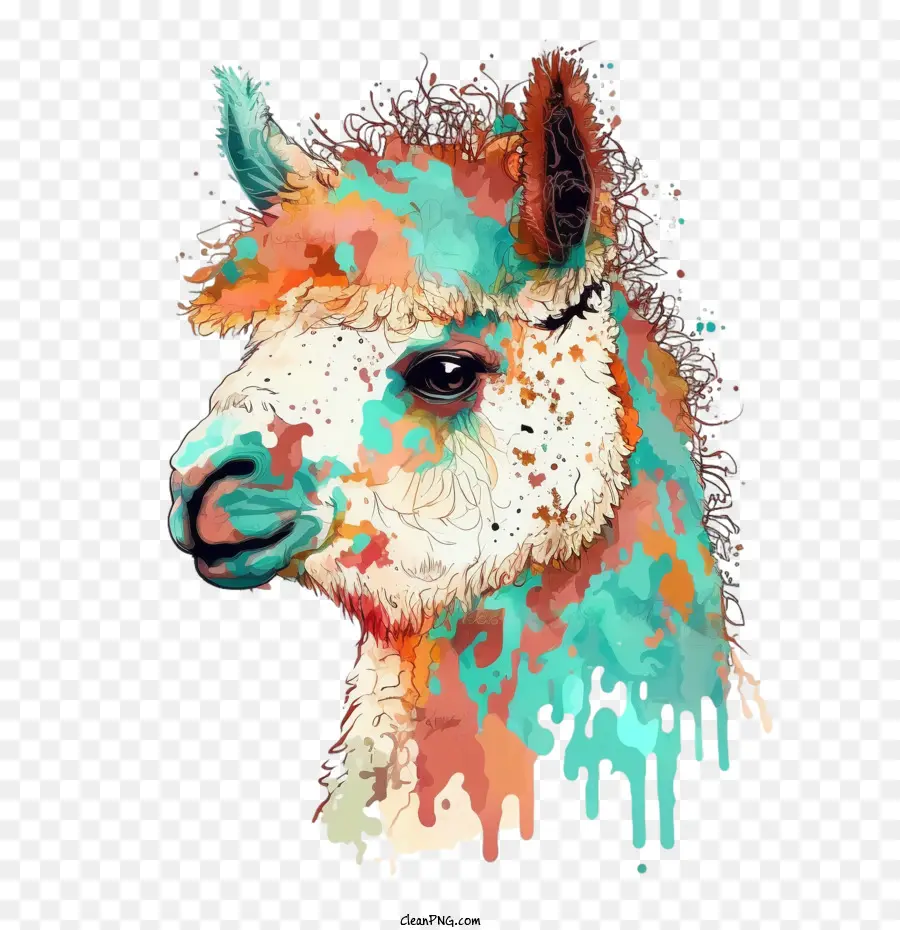 Bunte Lama-Illustration