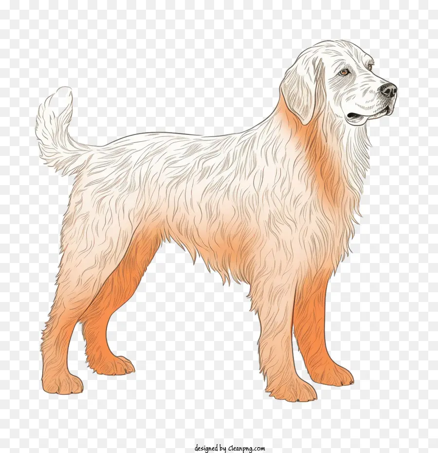 Schwarz-weiße Hundeillustration