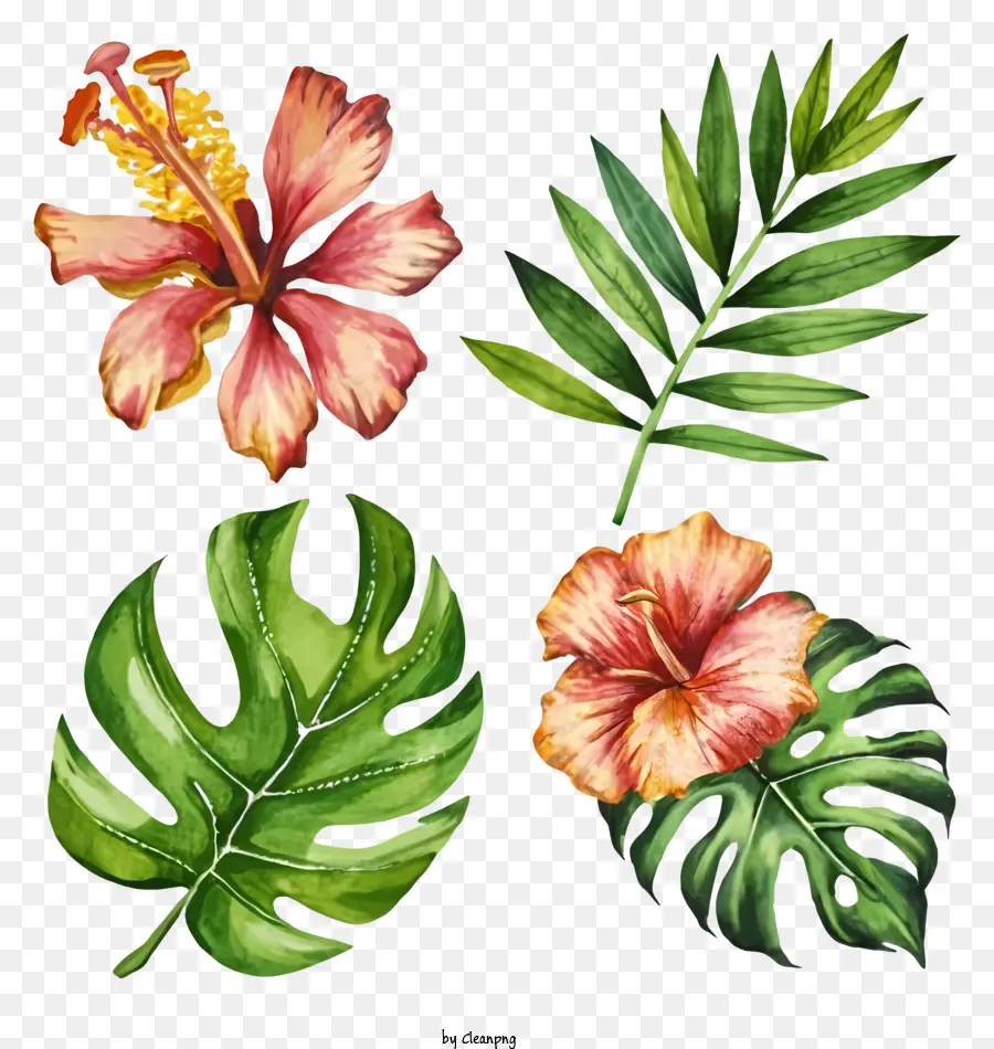 Illustrazione botanica di fiori e foglie tropicali