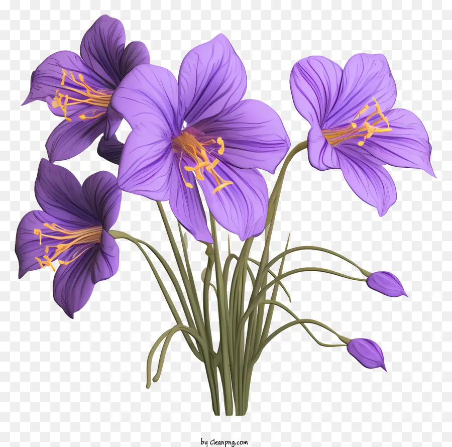 Bellissimo fiore viola