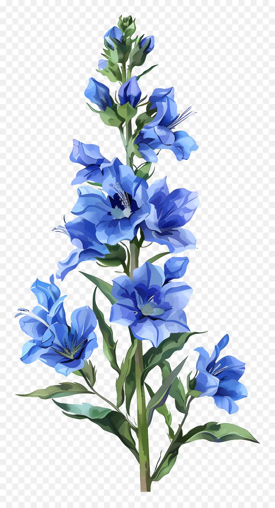 Beautiful Bluebell Flower Illustration