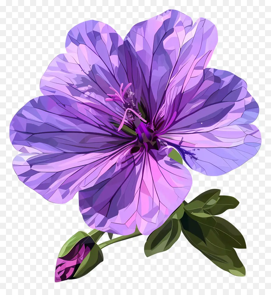 Bellissimo fiore viola