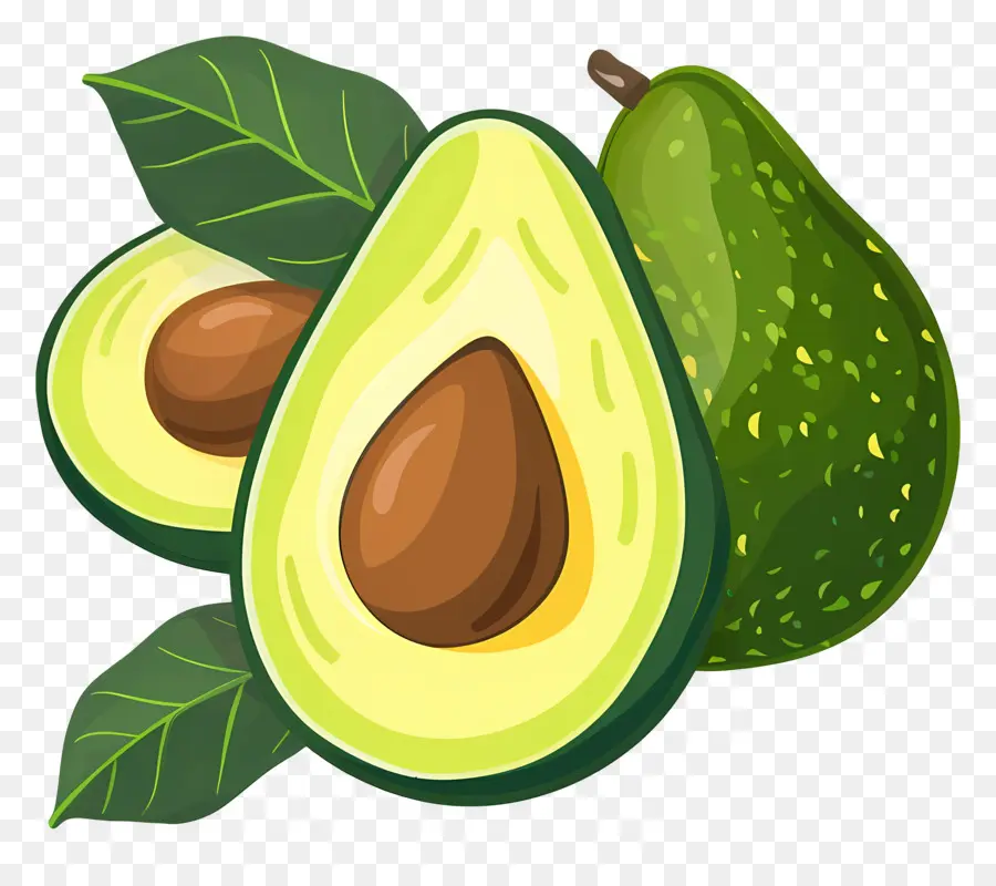 Fresh Avocado