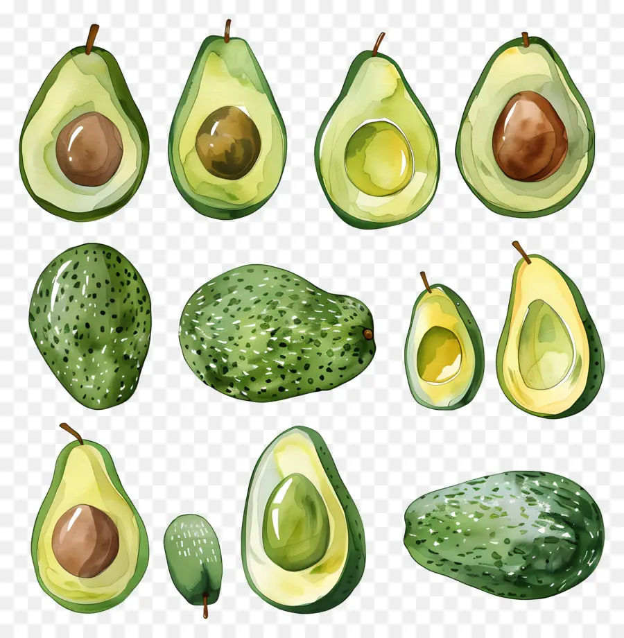 Varie illustrazioni di avocado