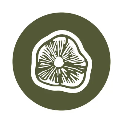 Latvian Mycological Society