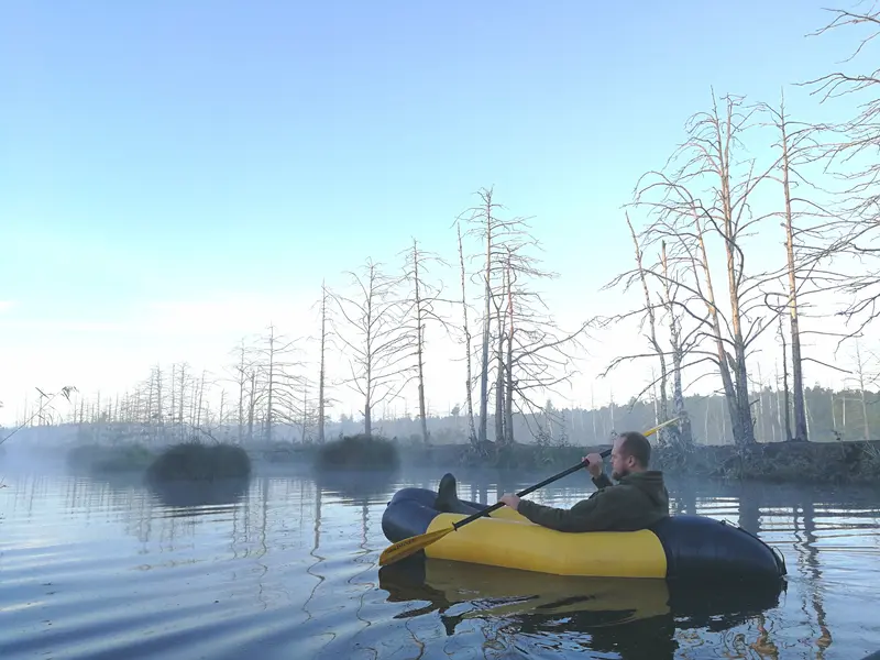 Uzzini iepazisti Boat Ride and Cormorant Watching Experience