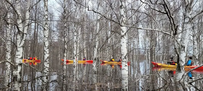 Dvietes Floodplain Springtime Boating in Dviete Floodplain