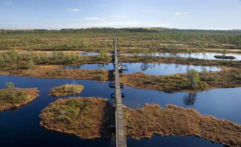 360kraadi balticnature estonia bog boghike hiking